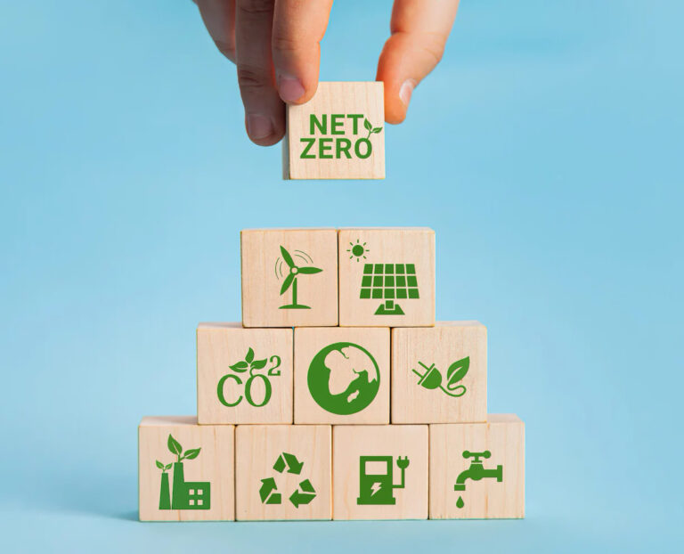 Proyectos de descarbonización, Consultoría estratégica Bluenergy