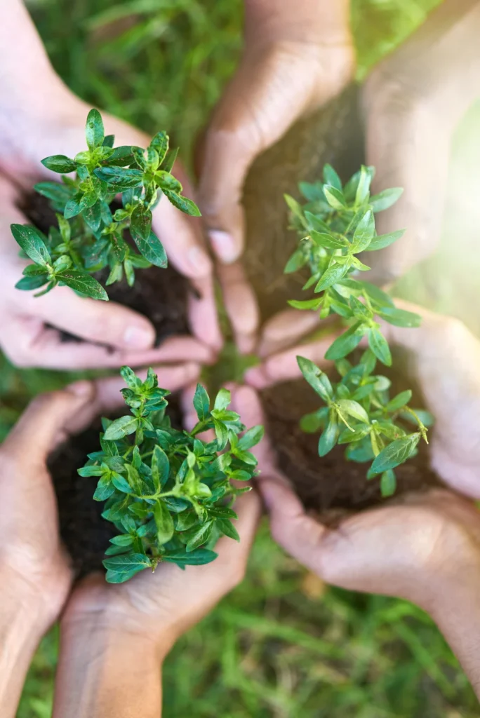 Sensibilización y concienciación medioambiental para empresas, Asesoría Bluenergy